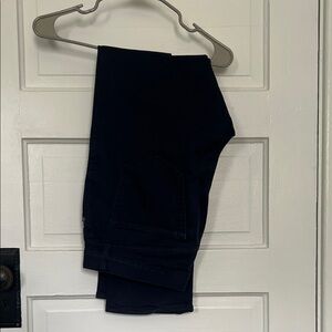 Banana Republic Navy Trousers